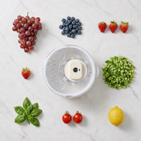 FreshSpin Pro 4-in-1 Electric Fruit & Vegetable Washer